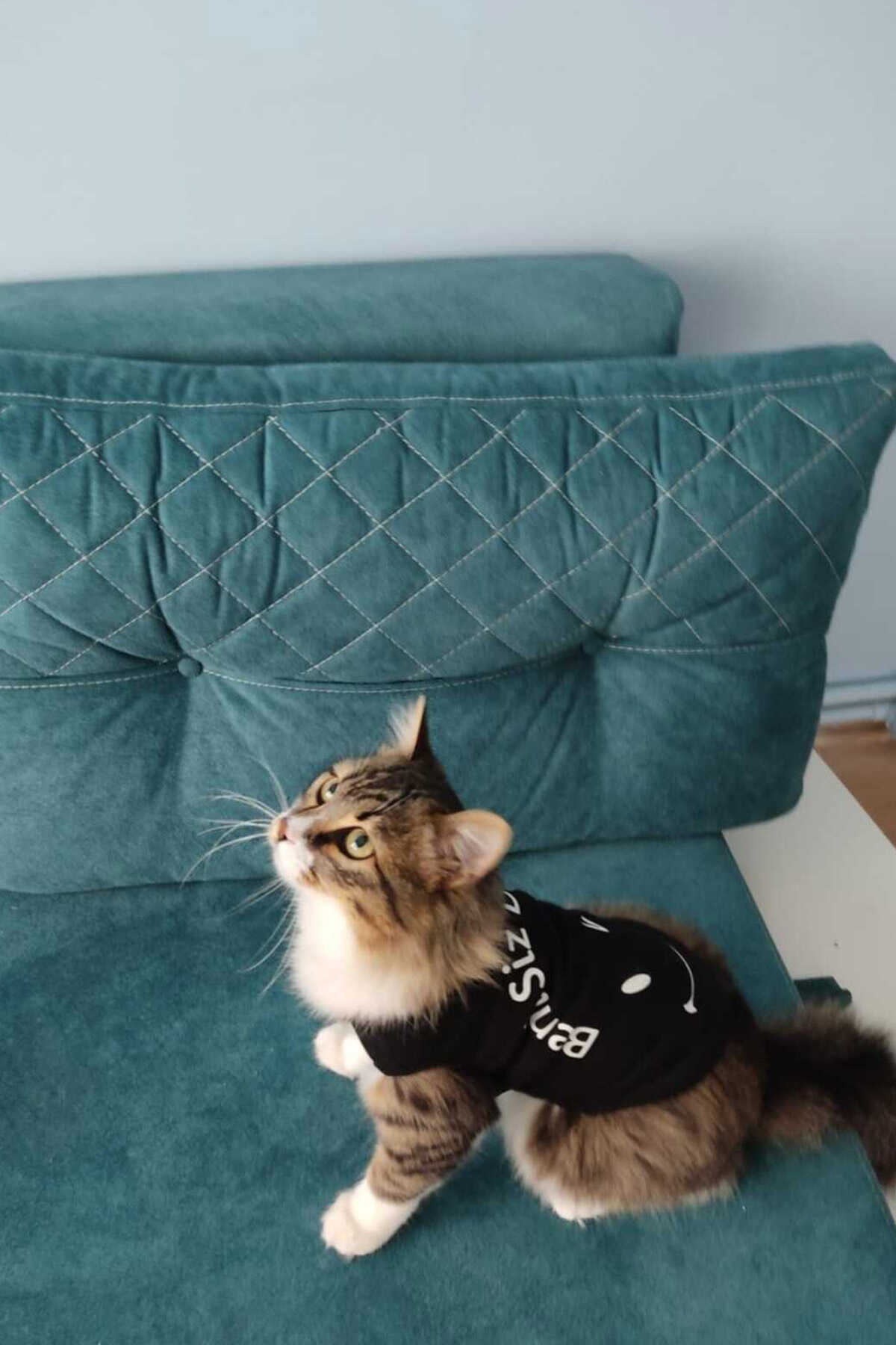 لباس گربه - سگ چاپ دار سایز M مشکی برند Monopetz