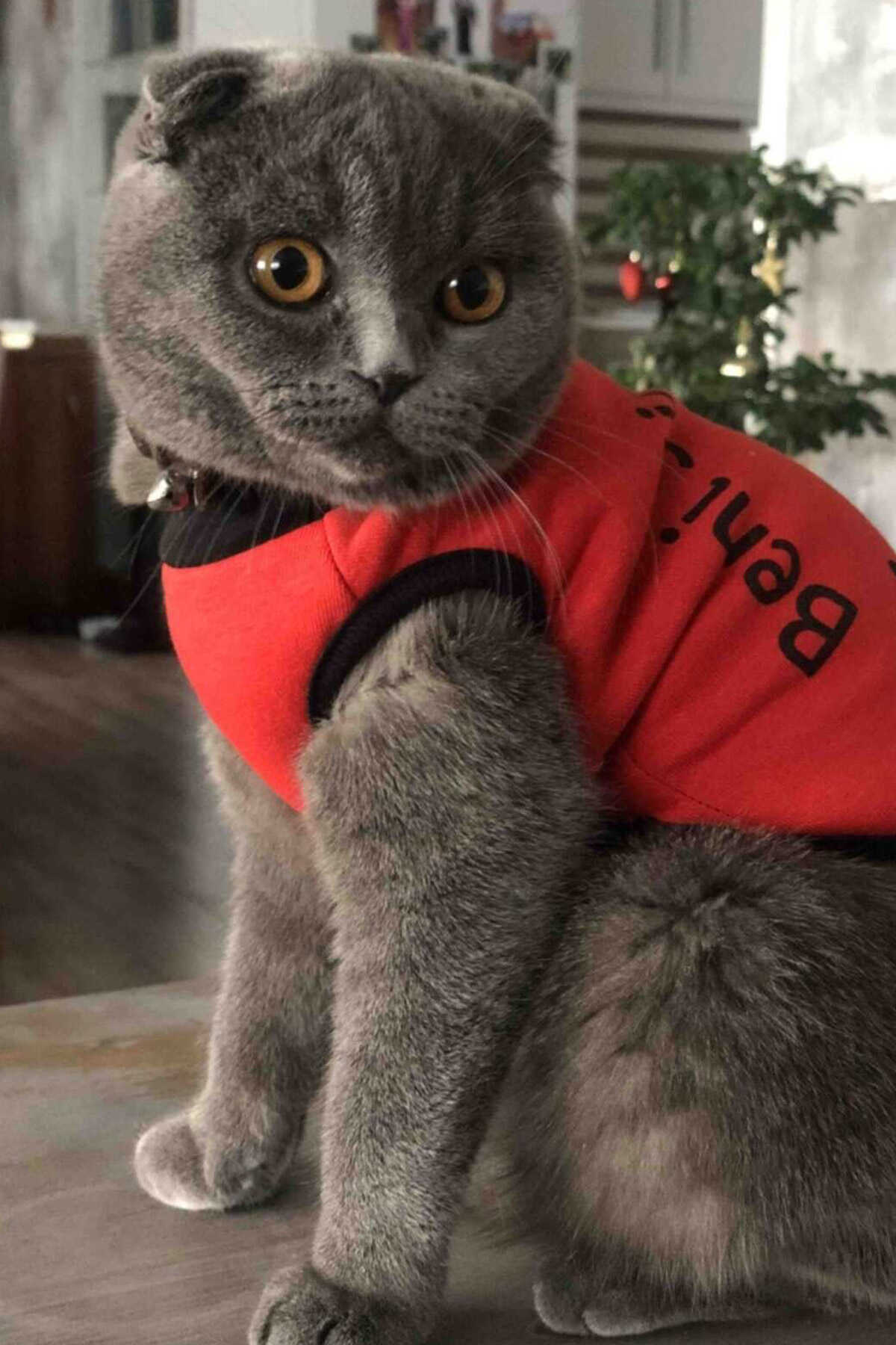 لباس گربه - سگ چاپ دار سایز S قرمز مشکی برند Monopetz