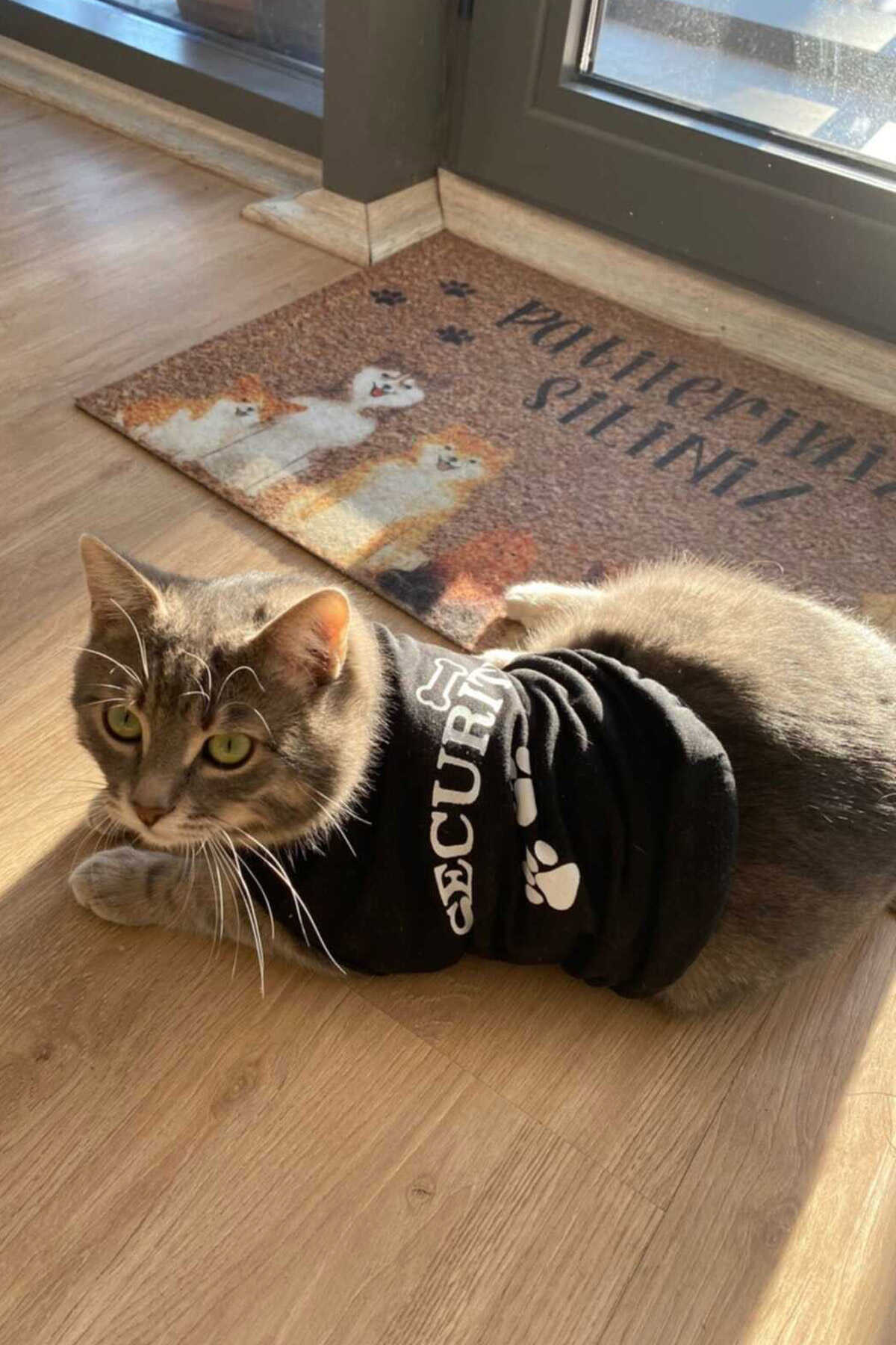 لباس گربه - سگ چاپ دار مشکی برند Monopetz