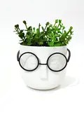ست گلدان - گیاه مصنوعی همراه عینک تزئینی سفید