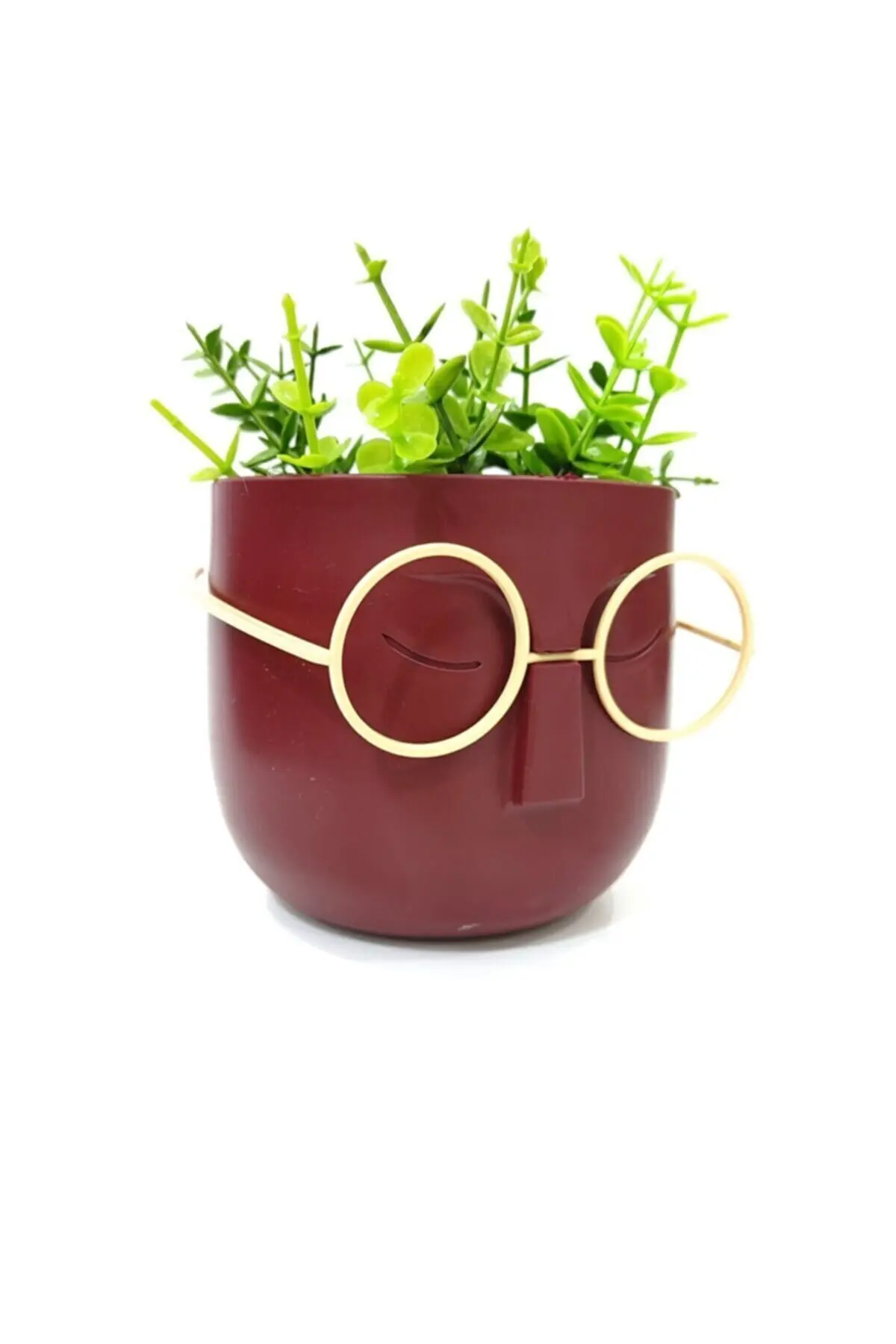 ست گلدان - گیاه مصنوعی همراه عینک تزئینی زرشکی