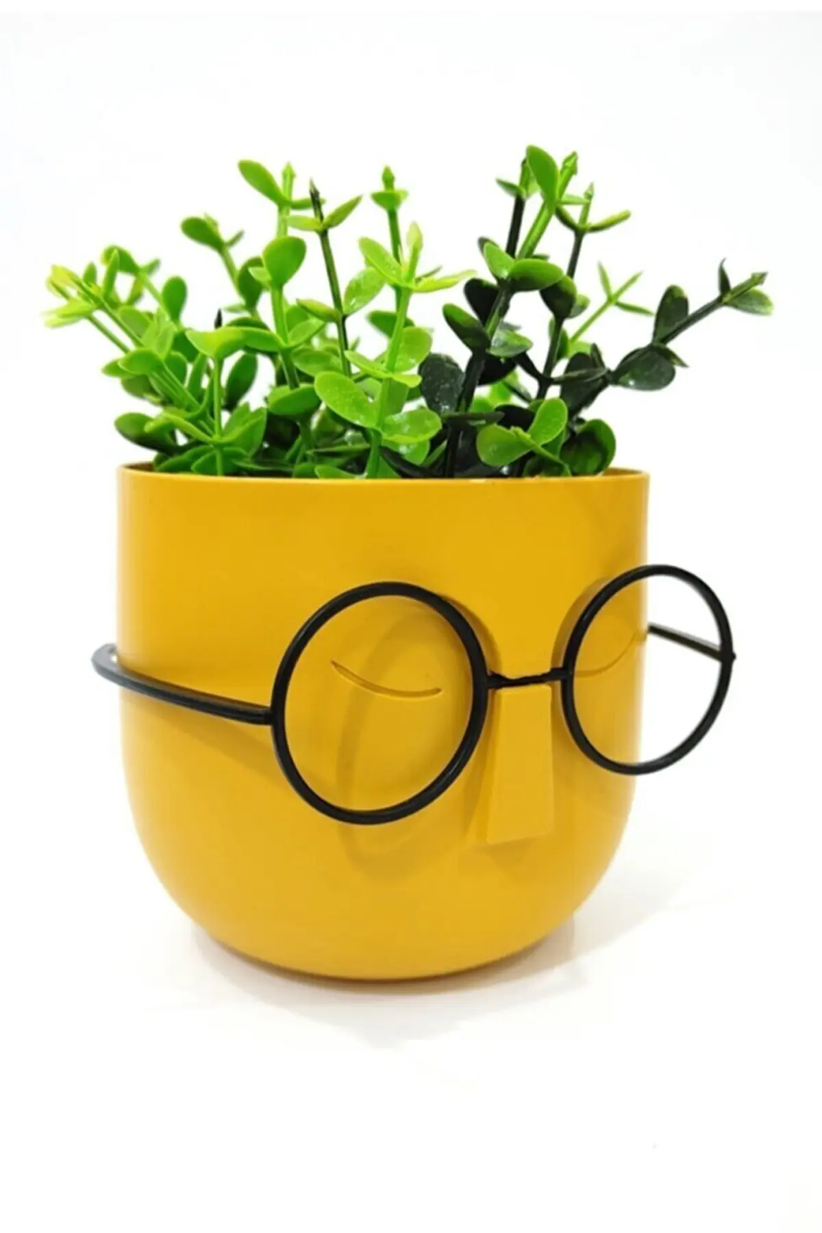 ست گلدان - گیاه مصنوعی همراه عینک تزئینی زرد