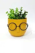 ست گلدان - گیاه مصنوعی همراه عینک تزئینی زرد