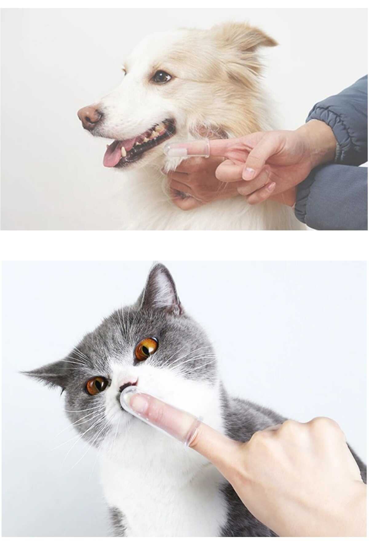 مسواک سیلیکونی انگشتی سگ - گربه برند İndirimKap