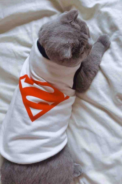 لباس گربه - سگ طرح سوپرمن سفید برند Monopetz 
