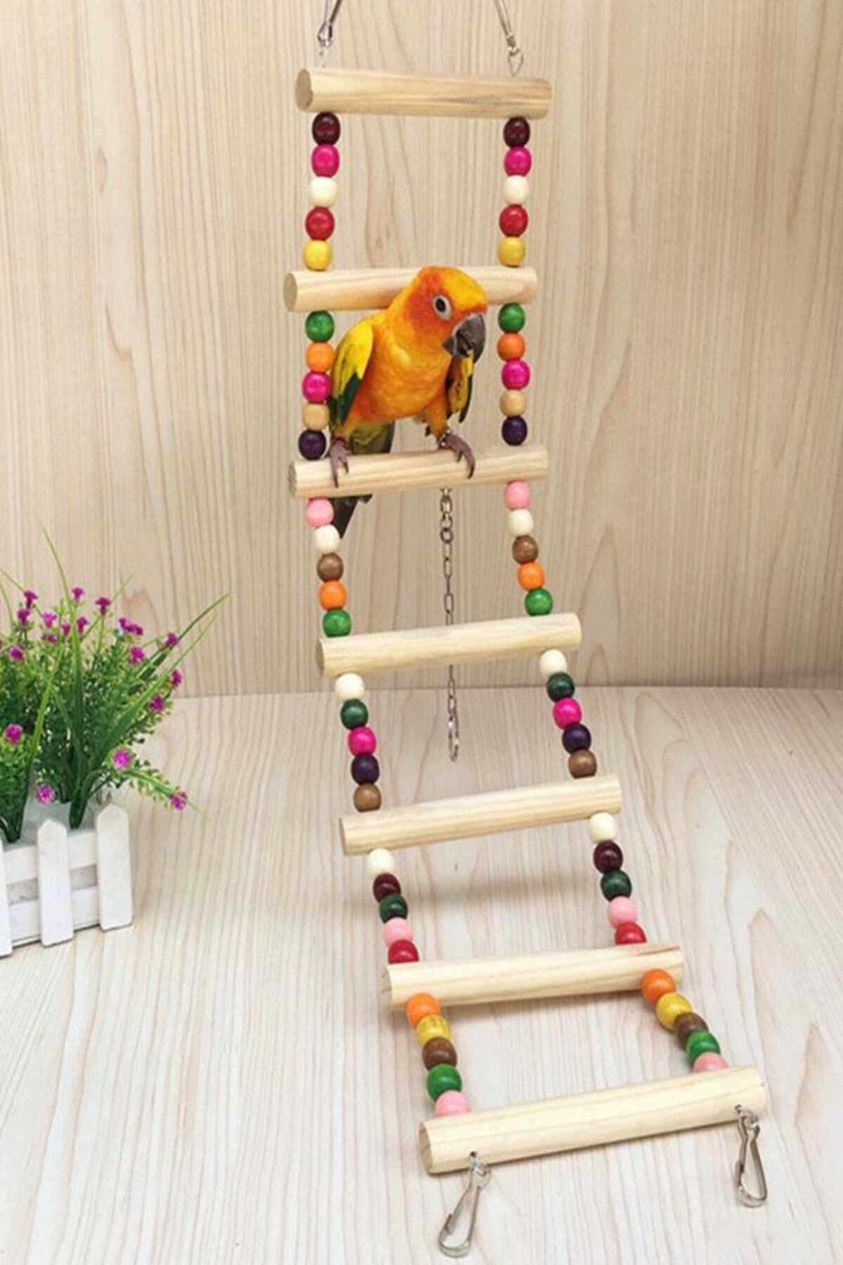 نردبان چوبی - مهره ای پرندگان چند رنگ 