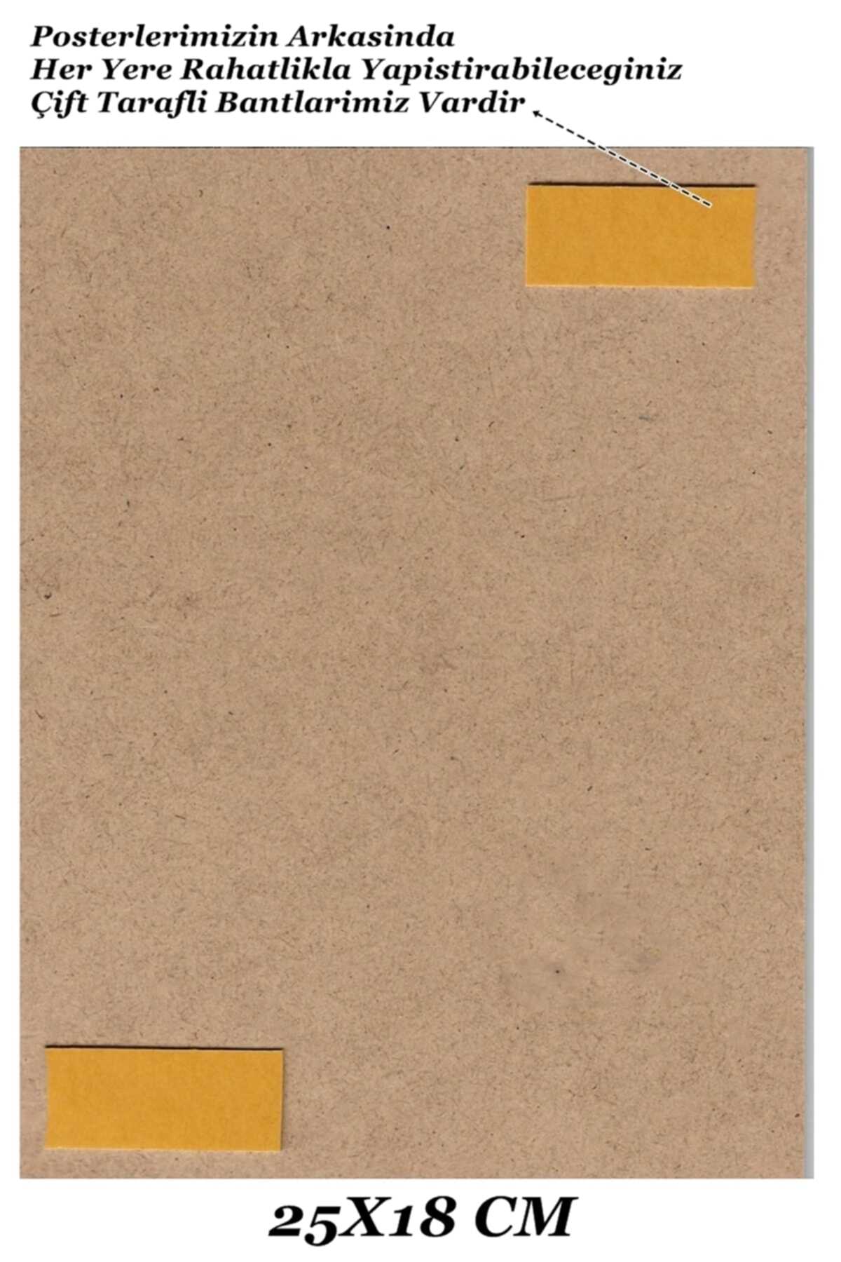 پوستر نقاشی پوبی لانا دل ری خواننده ابعاد 25x18 برند Universal
