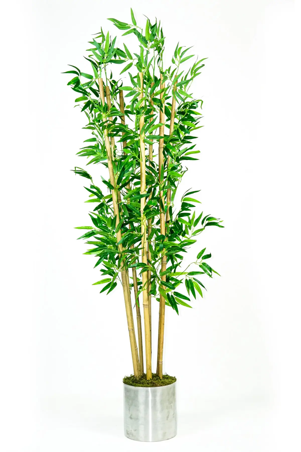 ست گلدان فلزی - درخت بامبو مصنوعی نقره ای سبز 